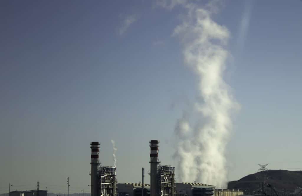 6abcf55894cf5_gases_bionatur-12