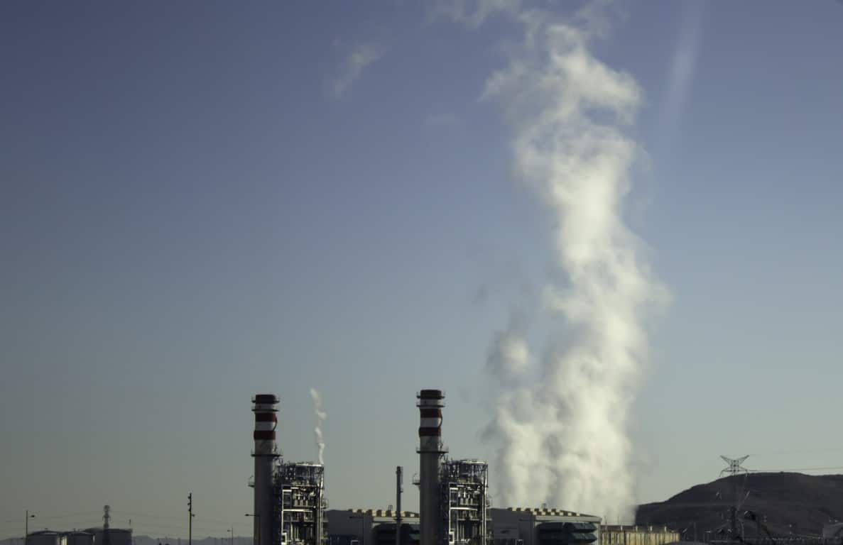 6abcf55894cf5_gases_bionatur-12